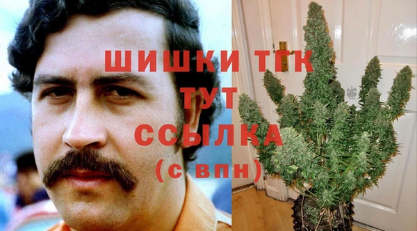 прущий лед Арсеньев